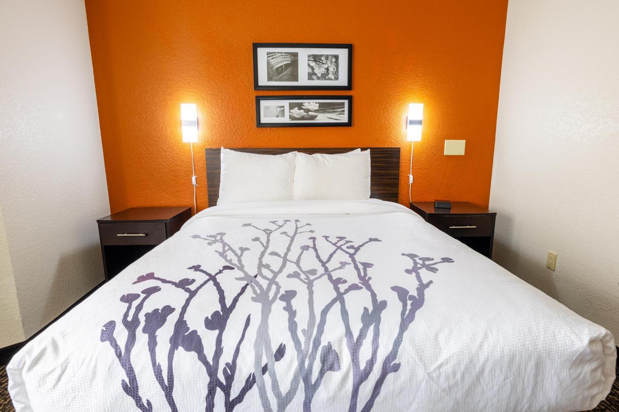 Sleep Inn Ormond Beach - Daytona מראה חיצוני תמונה